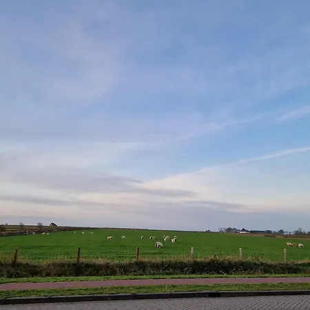 Aan De Hoge Berg 3* Den Burg