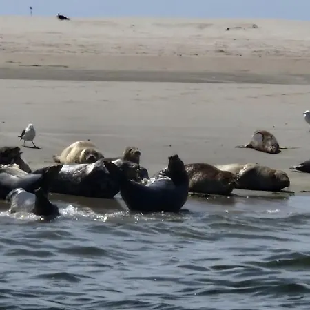 Aan De Hoge Berg Bed & Breakfast *