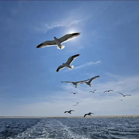 Aan De Hoge Berg Oda ve Kahvaltı *