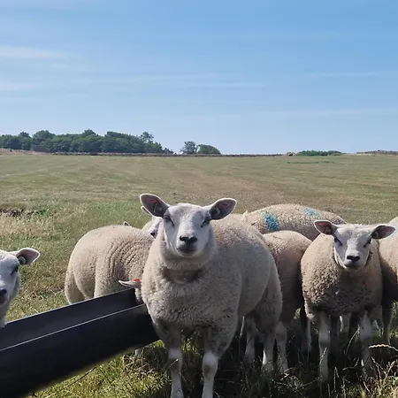 Aan De Hoge Berg Bed & Breakfast *