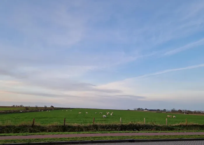 Aan De Hoge Berg * Den Burg