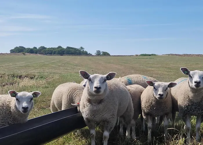 Aan De Hoge Berg Panzió *