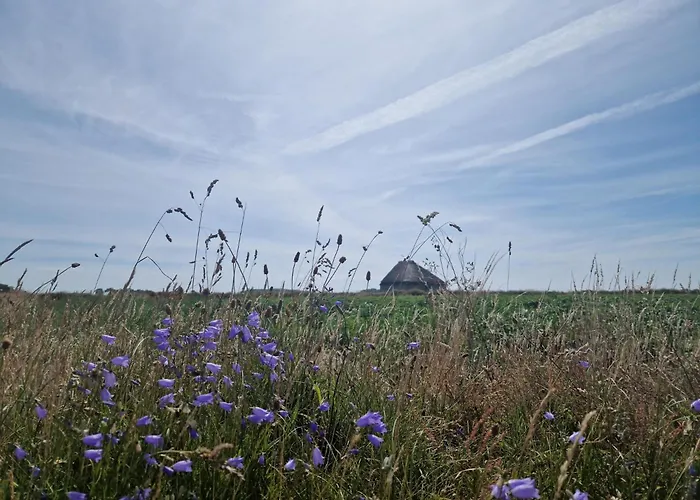 Panzió Aan De Hoge Berg