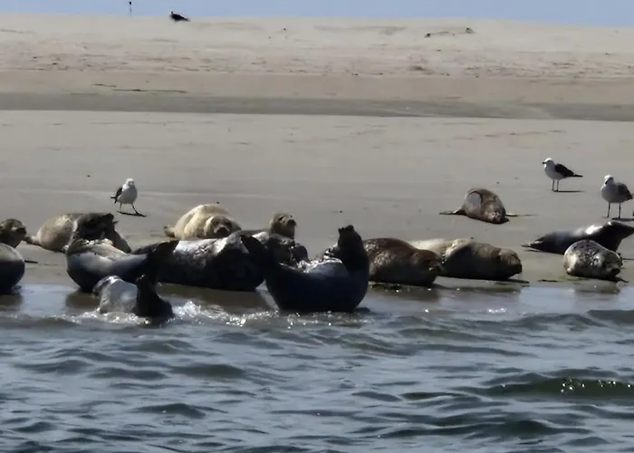 Aan De Hoge Berg Panzió *