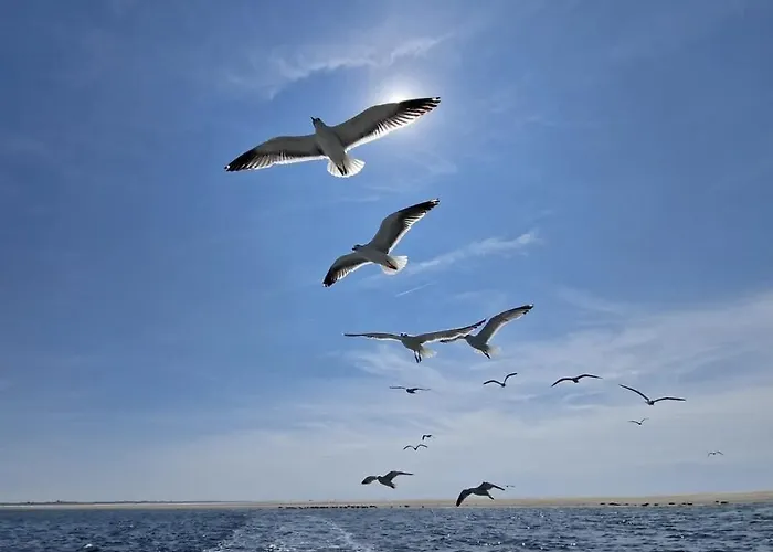 Aan De Hoge Berg Panzió *