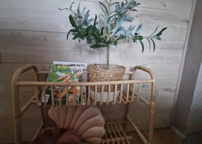 Aan De Hoge Berg * Den Burg